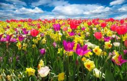 Titolo notizia di test roberta