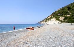 Coronavirus: 9 decessi, 131 contagi e 176 guariti