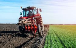 Trasforma la tua impresa accedendo al bando Digital Transformation