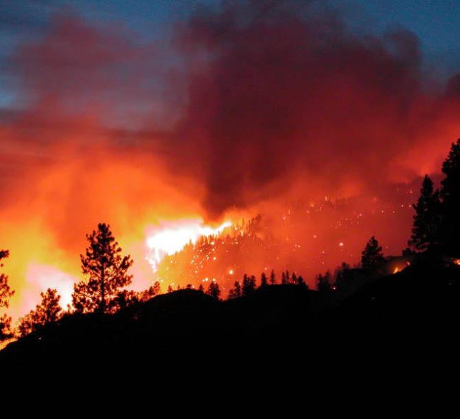 A fire is devastating Yellowstone park, but the new life will arise.