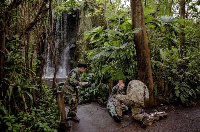 epa10466951 Dutch Marines in a mock drill as they train in the covered tropical rainforest of Burgers Zoo in Arnhem, The Netherlands, 14 February 202