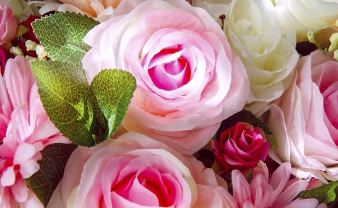 titolo articolo di prova homepage