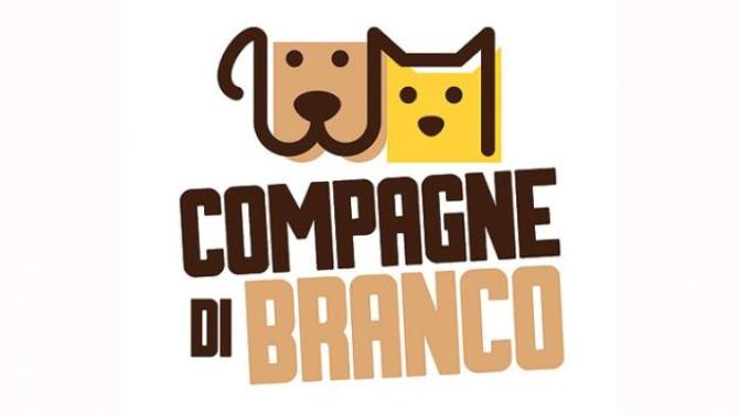 Pianeta gatto: "L&rsquo;amore non basta 2.0"